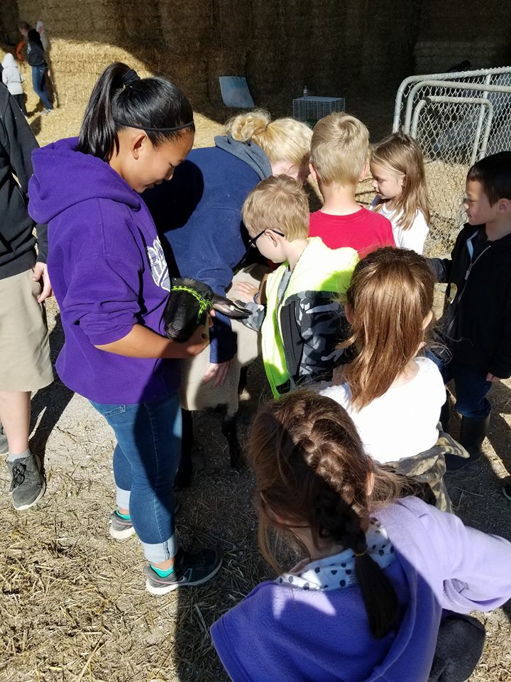 Kiel FFA student with lamb